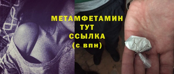 твердый Гусев