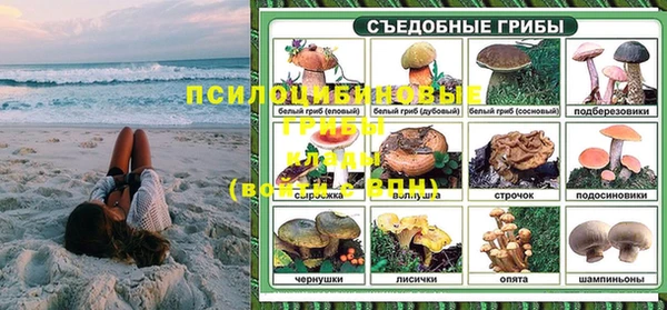 прущая мука Гусиноозёрск