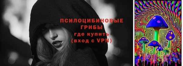 метадон Гусь-Хрустальный