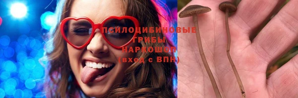 метадон Гусь-Хрустальный
