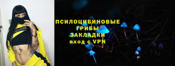 твердый Гусев