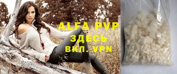 твердый Гусев
