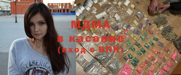 твердый Гусев