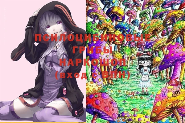 метадон Гусь-Хрустальный