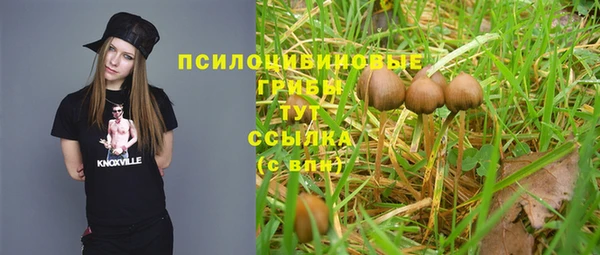 гашиш Дмитриев