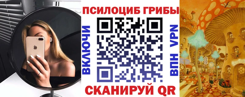 Псилоцибиновые грибы Magic Shrooms  Купить где  Грязовец 